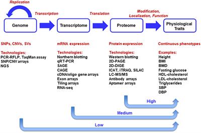 Identifying Multi-Omics Causers and Causal Pathways for Complex Traits